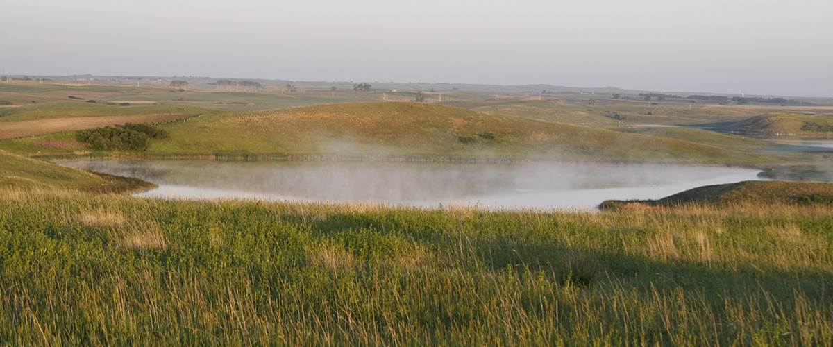 Furtman native prarie pothole